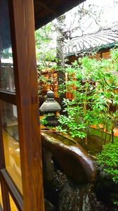 1509006398870.jpg
