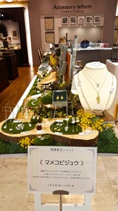 1519640774579.jpg