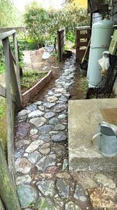 1526034426343.jpg