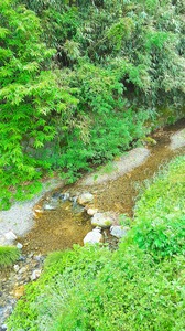 20160529_120542.jpg