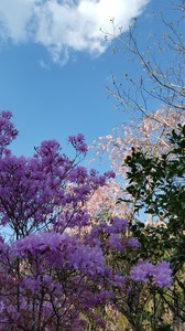 20170415_162549.jpg