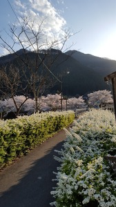 20170415_170923.jpg
