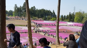 20170430_142744.jpg
