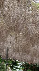 20170506_094840.jpg