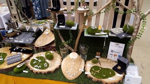 20170722_110521.jpg