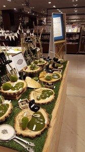 20170909_094824.jpg