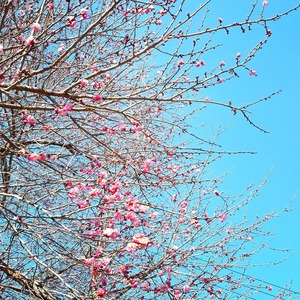 IMG_20190203_212640_747.jpg