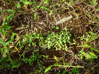 P1050738.JPG
